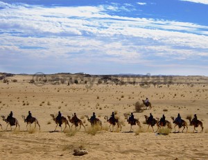 A camel procession at the Nuits Sahariennes d'Essouk Festival, Essouk, Adagh 2007. (c) Andy Morgan