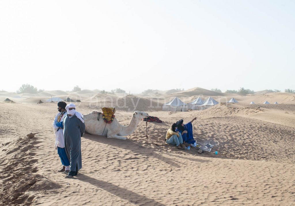 The dunes at Taragalte festival