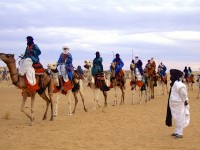 Camel procession Essouk 2007 (c) Andy Morgan