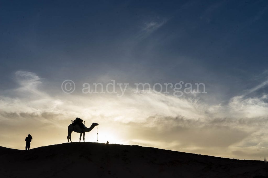 Sunset at Taragalte Festival with Camel on horizon