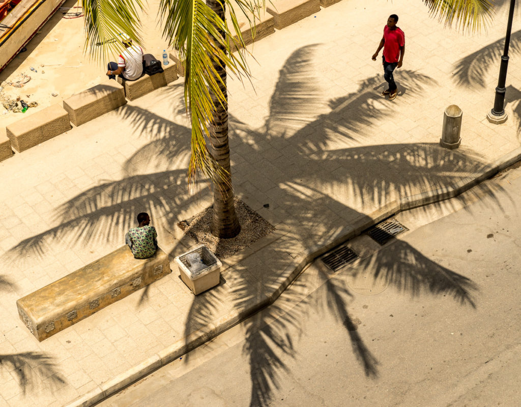 Palm trees and shade along the sea front, Stone Town, Zanzibar. Photo: Andy Morgan